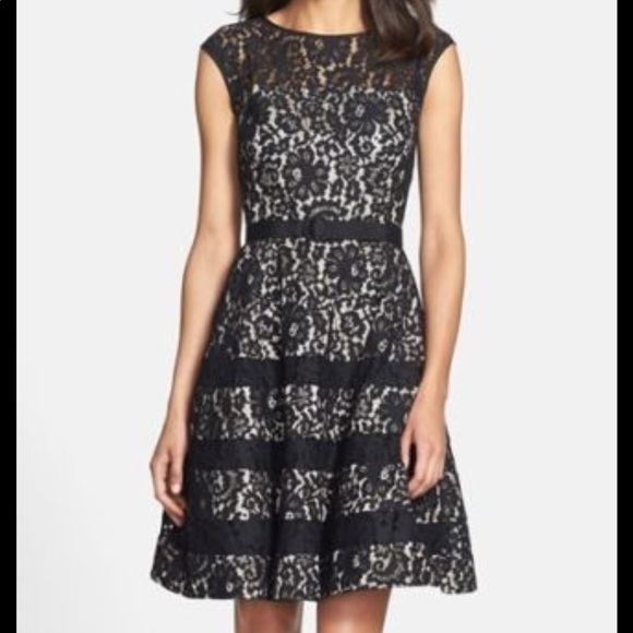 eliza j navy lace dress